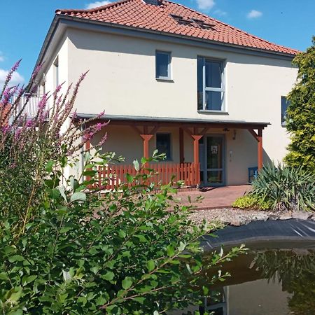 Ferienwohnung Toelle Bad Rehburg 外观 照片