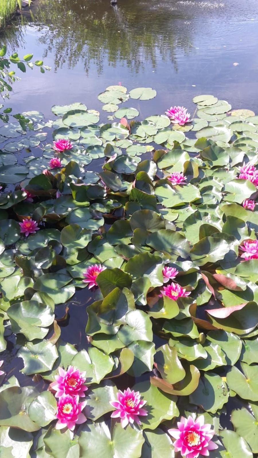 Ferienwohnung Toelle Bad Rehburg 外观 照片